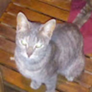 Meet your Posher, Edwin